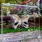 METAMORPHOSIS | #1