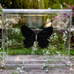 METAMORPHOSIS | #10