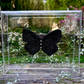 METAMORPHOSIS | #22