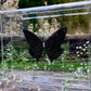 METAMORPHOSIS | #12