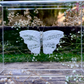 METAMORPHOSIS | #25