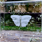 METAMORPHOSIS | #25