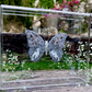 METAMORPHOSIS | #58