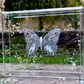 METAMORPHOSIS | #58