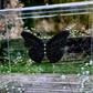 METAMORPHOSIS | #18