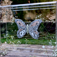 METAMORPHOSIS | #49