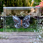 METAMORPHOSIS | #37