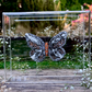 METAMORPHOSIS | #37