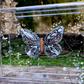 METAMORPHOSIS | #37