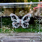 METAMORPHOSIS | #50