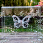 METAMORPHOSIS | #50
