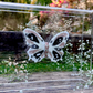 METAMORPHOSIS | #50