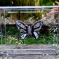METAMORPHOSIS | #48