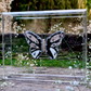 METAMORPHOSIS | #48
