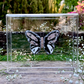 METAMORPHOSIS | #48