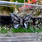 METAMORPHOSIS | #48