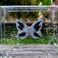 METAMORPHOSIS | #60