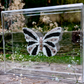 METAMORPHOSIS | #47