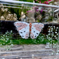METAMORPHOSIS | #34