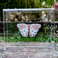 METAMORPHOSIS | #34