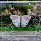 METAMORPHOSIS | #34