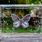 METAMORPHOSIS | #36