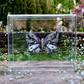 METAMORPHOSIS | #62