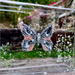 METAMORPHOSIS | #31