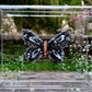 METAMORPHOSIS | #46