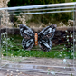 METAMORPHOSIS | #46