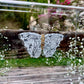 METAMORPHOSIS | #29