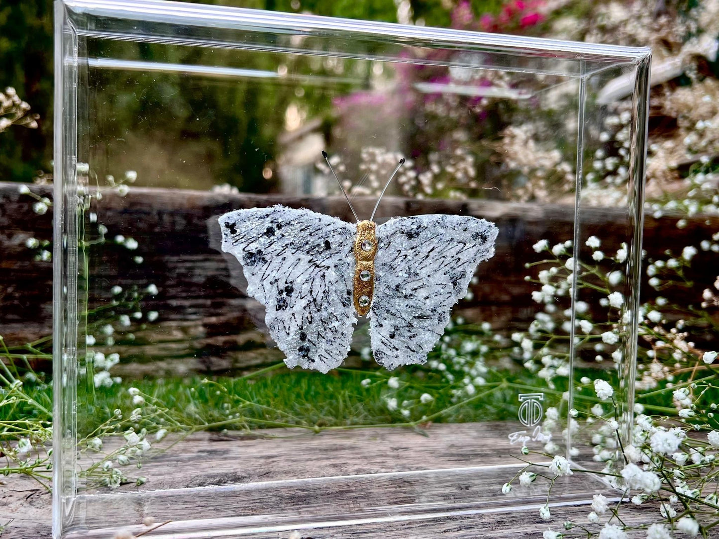 METAMORPHOSIS | #29