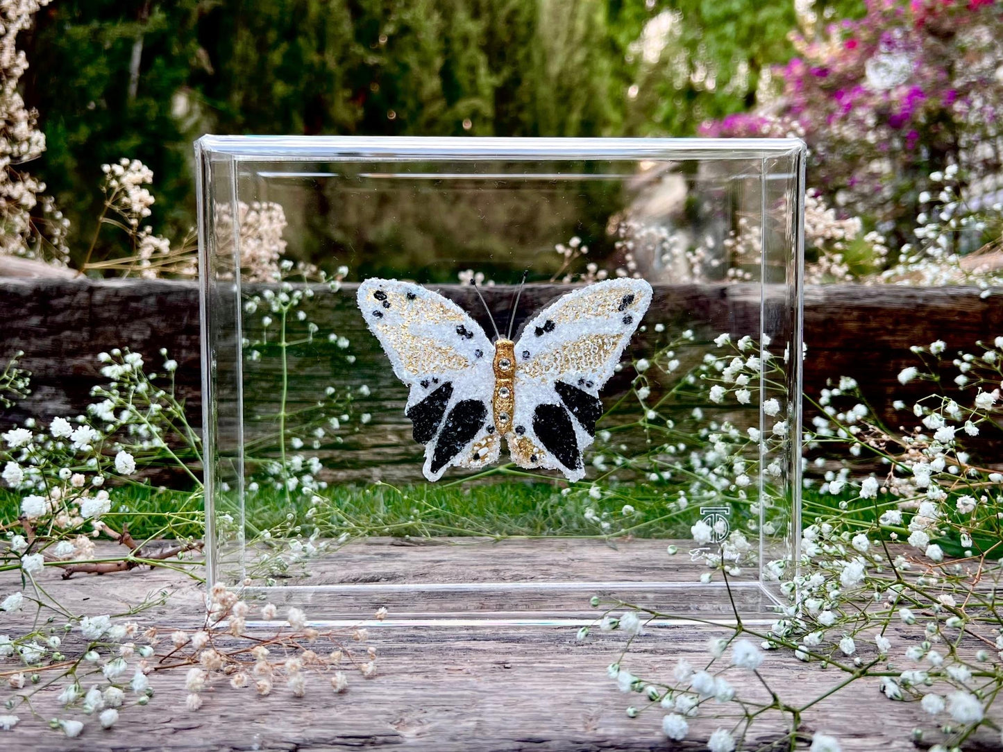 METAMORPHOSIS | #5