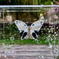 METAMORPHOSIS | #5