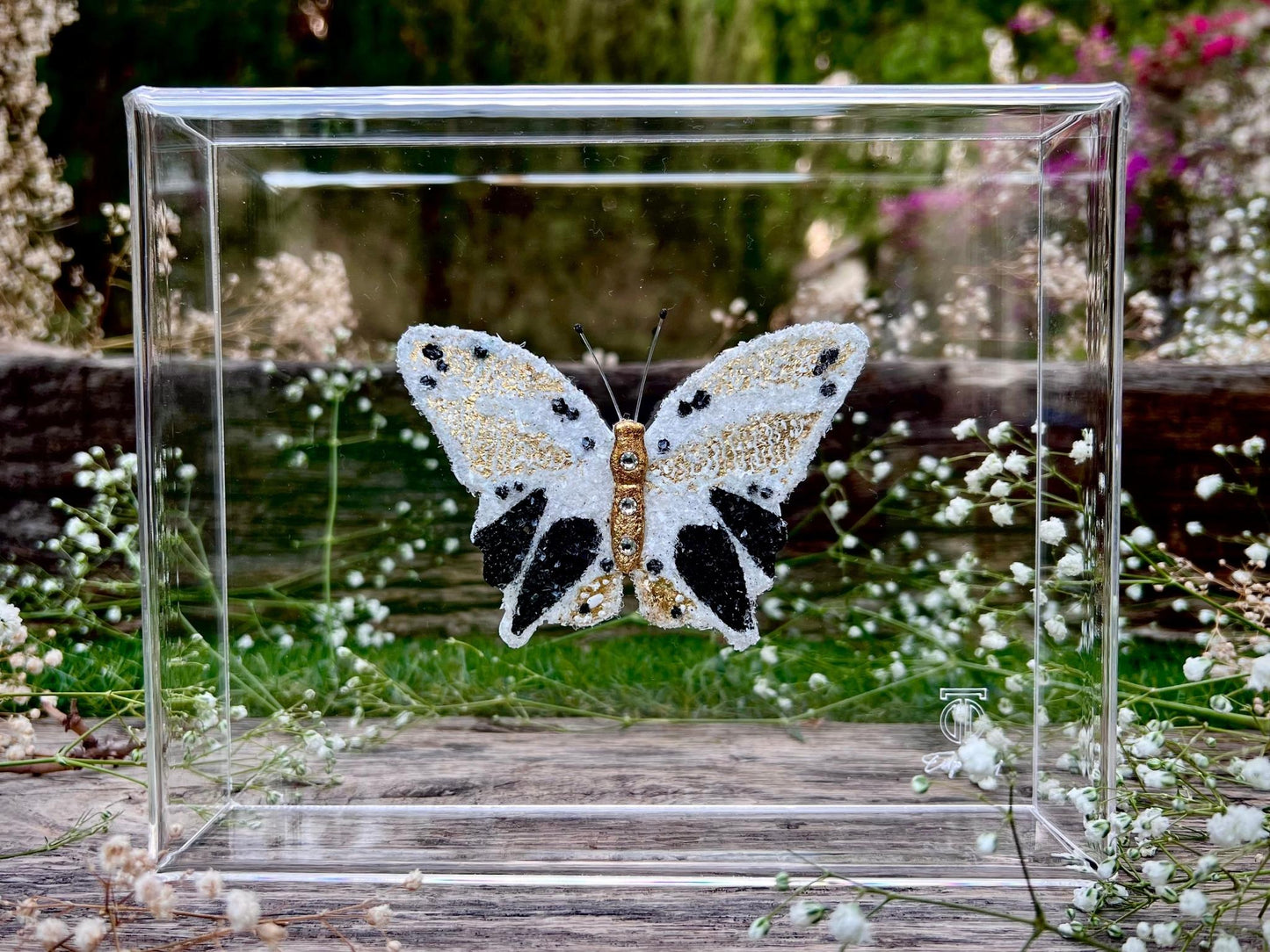 METAMORPHOSIS | #5