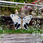 METAMORPHOSIS | #5