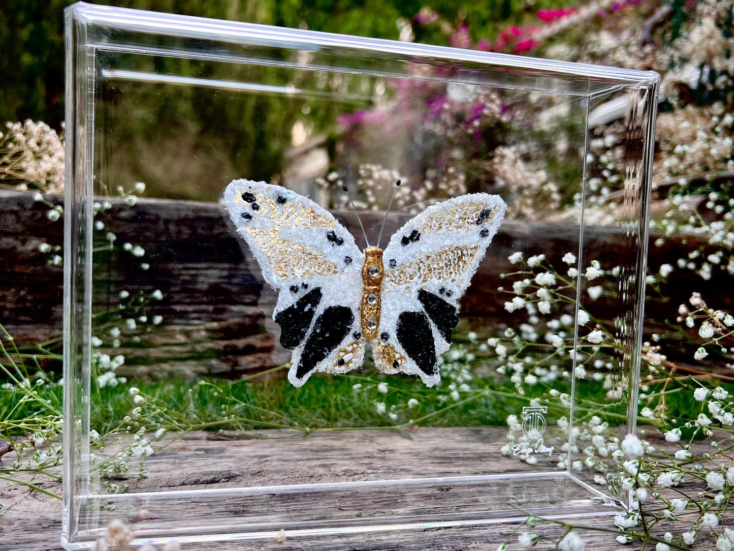 METAMORPHOSIS | #5