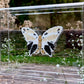 METAMORPHOSIS | #5