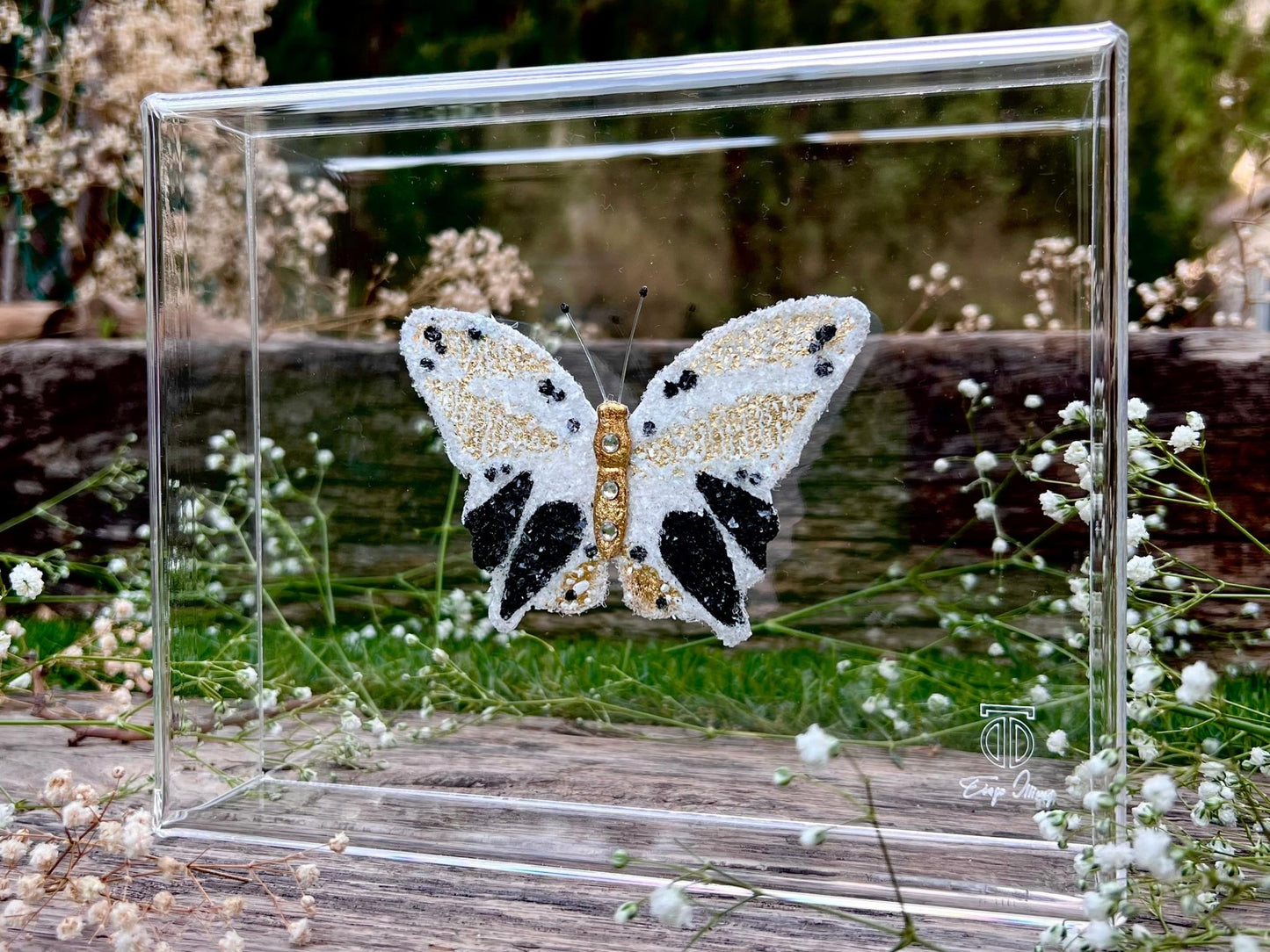 METAMORPHOSIS | #5