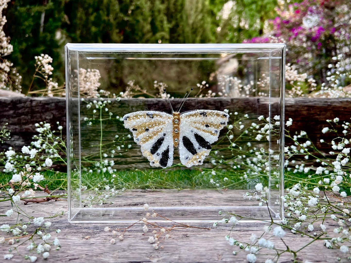 METAMORPHOSIS | #4