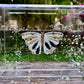 METAMORPHOSIS | #4