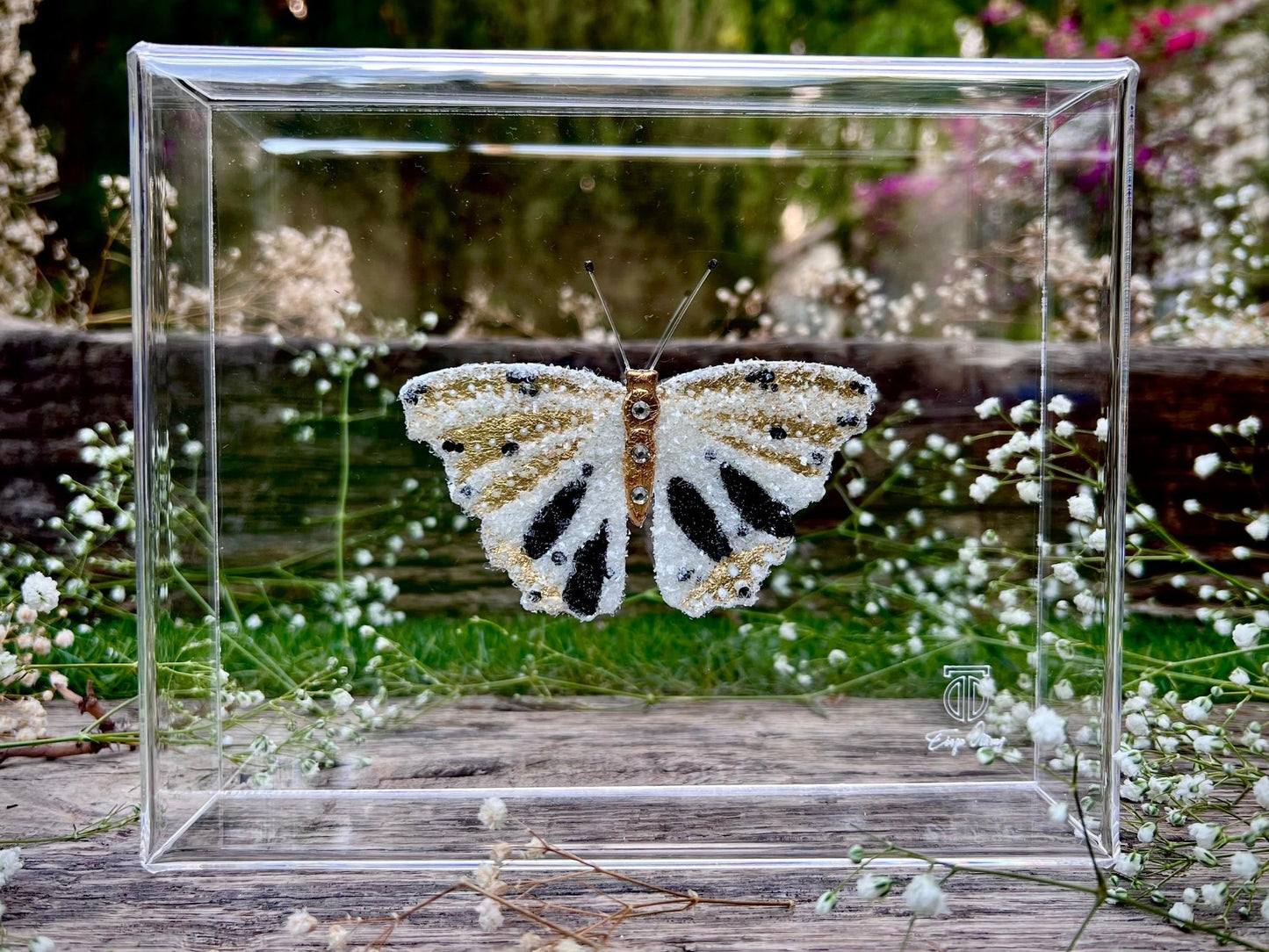 METAMORPHOSIS | #4