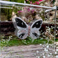 METAMORPHOSIS | #61