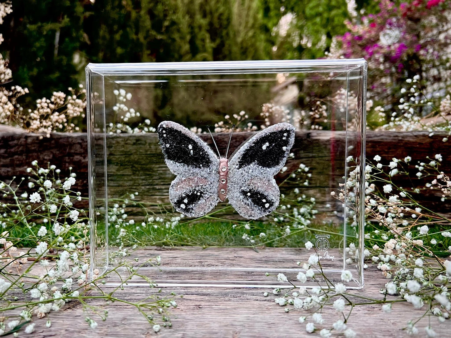 METAMORPHOSIS | #61