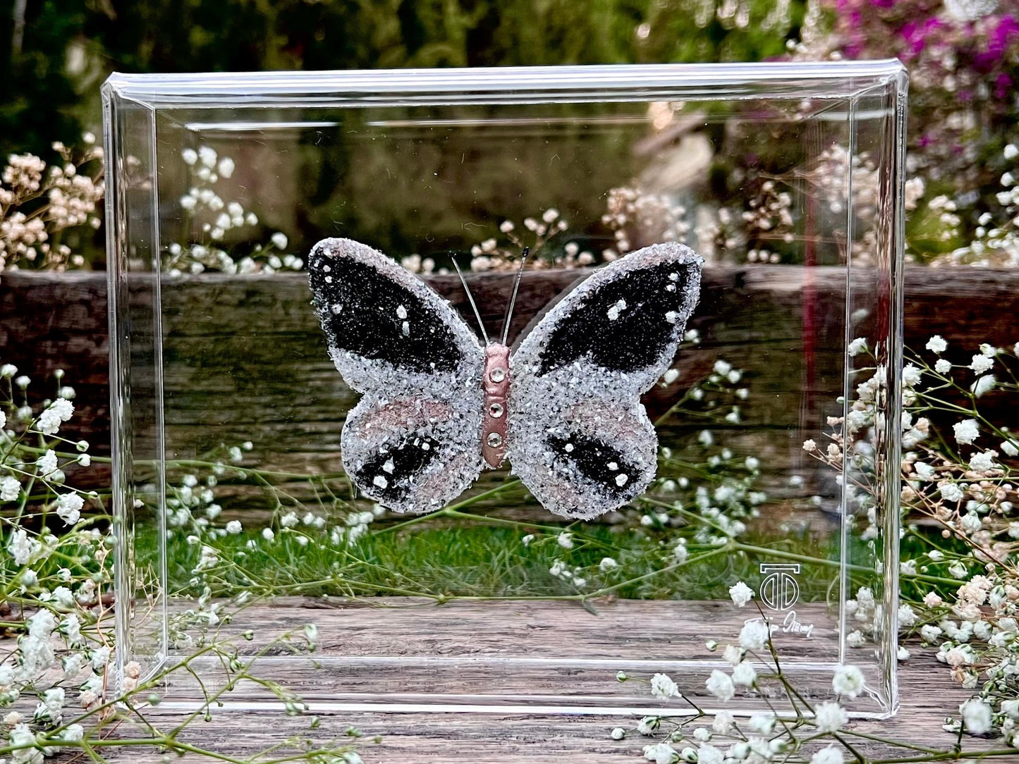 METAMORPHOSIS | #61