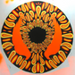 The | EYE