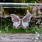 METAMORPHOSIS | #45