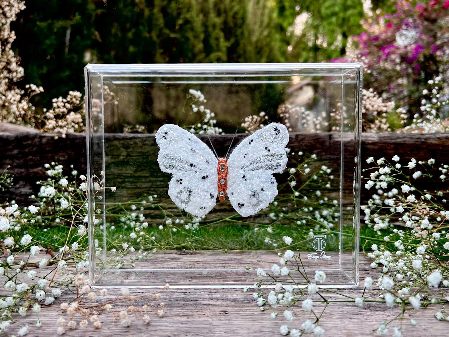 METAMORPHOSIS | #27