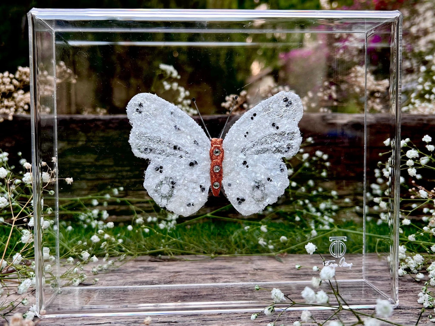 METAMORPHOSIS | #27