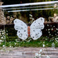 METAMORPHOSIS | #27